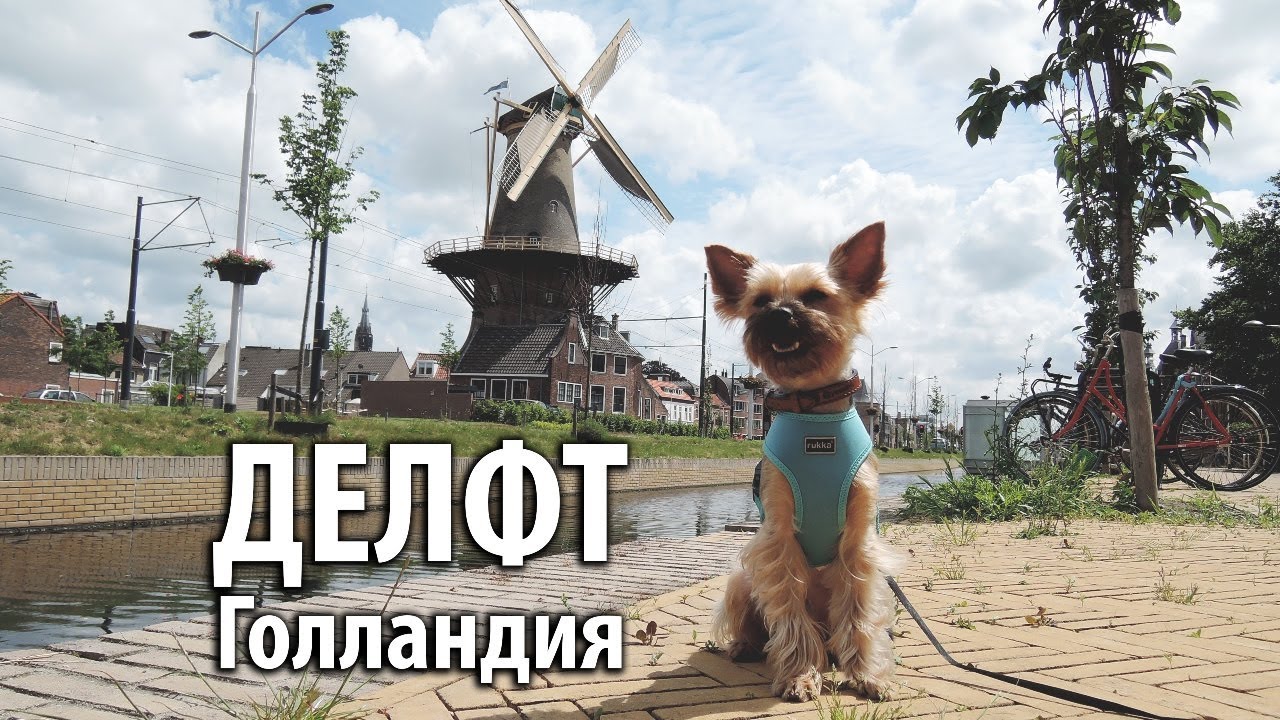 Делфт, Голландия / Woof travel &mdash; путешествия с собакой на машине