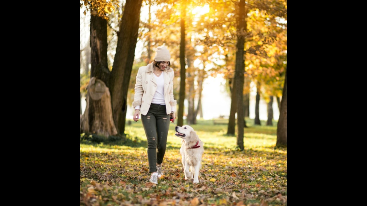 Long-lasting Flea and Tick Protection . . . At Last