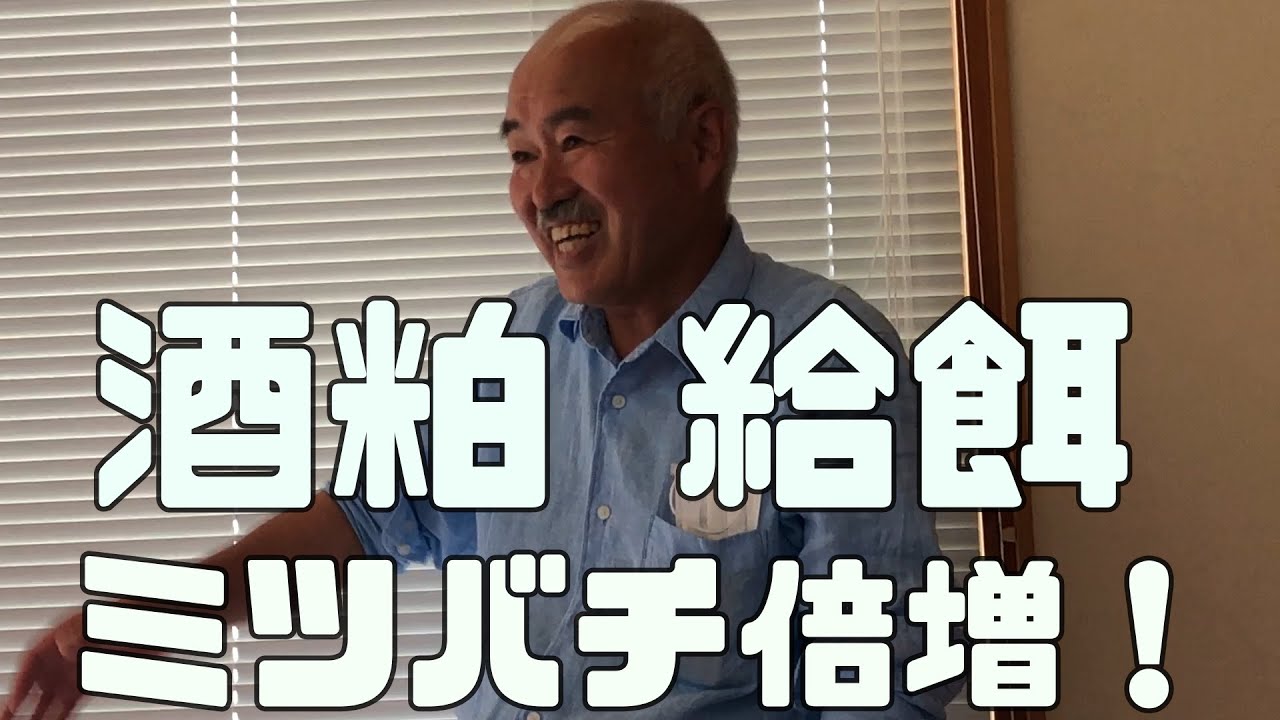 酒粕給餌でミツバチ倍増可能！　「か式」養蜂開発者　金太郎氏の研修にて　ミツバチ健康増進に最強の給餌方法　アカリンダニ予防効果　驚きのミツバチ増殖！！【日本ミツバチ庭先養蜂】【庭先養蜂家】【か式養蜂】