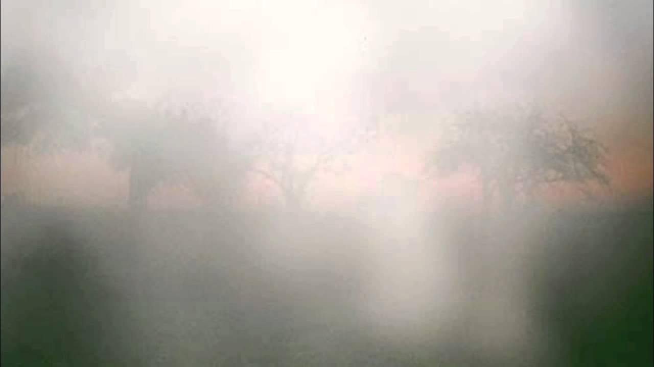 Klaxons - Silver Forest