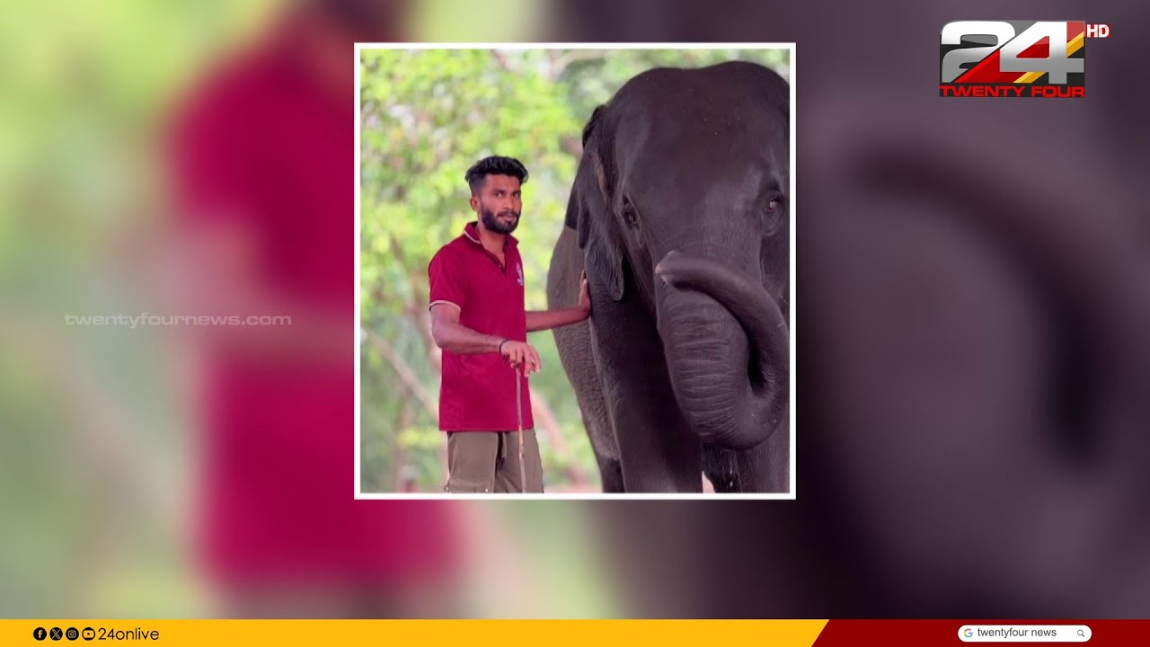 ആനയെ കുളിപ്പിക്കാൻ കൊണ്ടുപോകുന്നതിനിടെയിൽ പാപ്പാനെ അന  വെള്ളത്തിലേക്ക് ചവിട്ടിത്താഴ്ത്തി