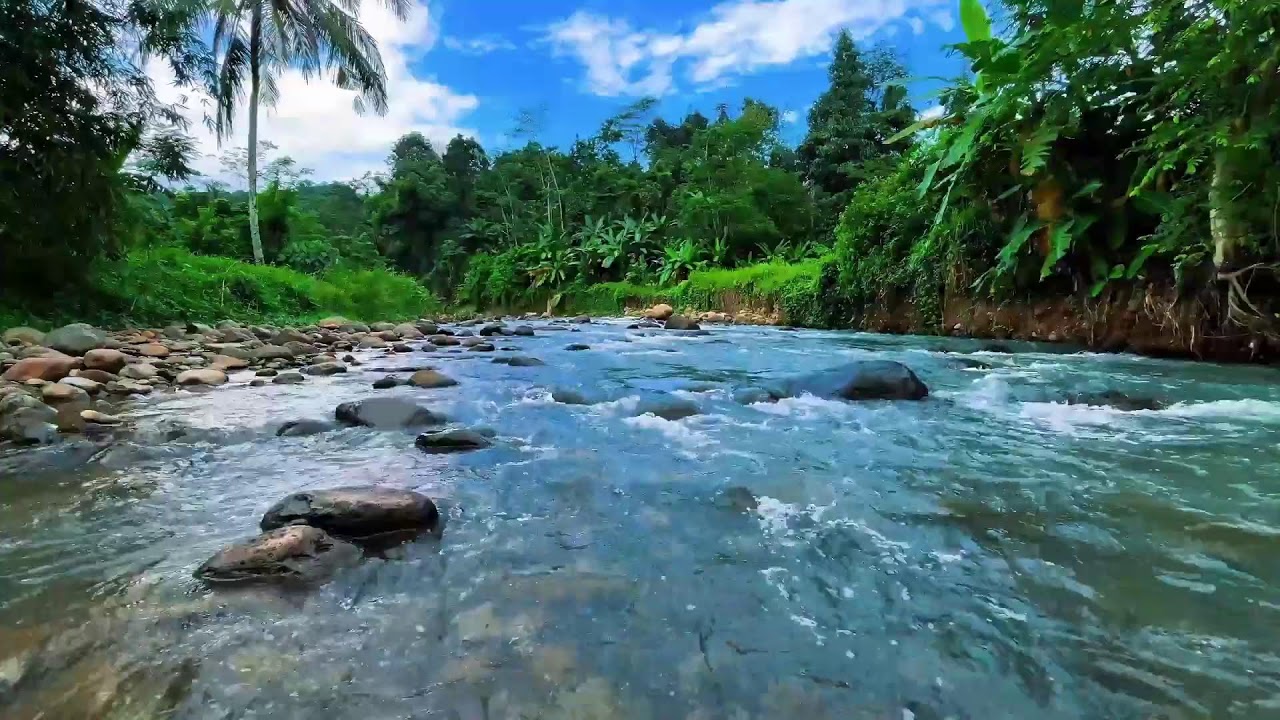 Healing River Sound for Deep Relaxation & Sleep | Calm Natural Water Flow for Stress Relief