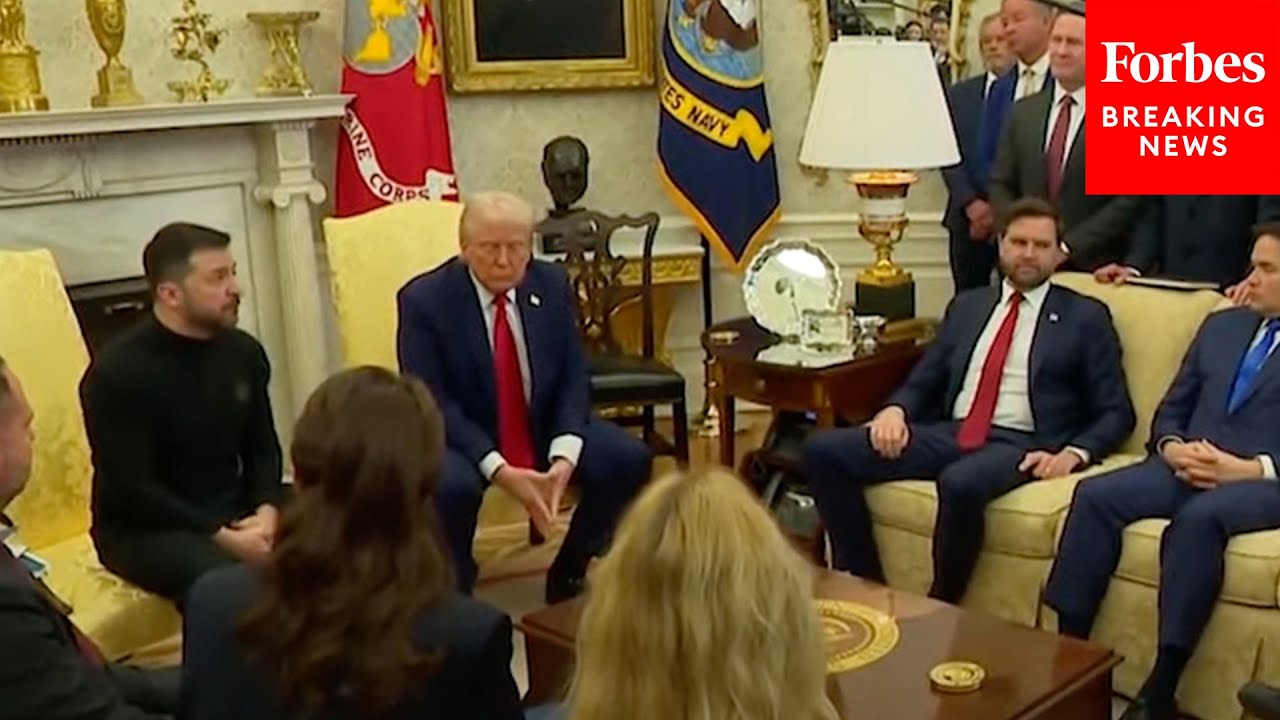'No, No, No...': Zelensky Refutes Trump's Claims About State Of Ukrainian Cities During Meeting