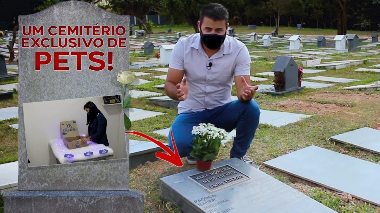 CEMITÉRIO PARA ANIMAIS - QUAL É O VALOR DE UM SEPULTAMENTO? (CONHEÇA O SERVIÇO FUNERÁRIO PARA PET)
