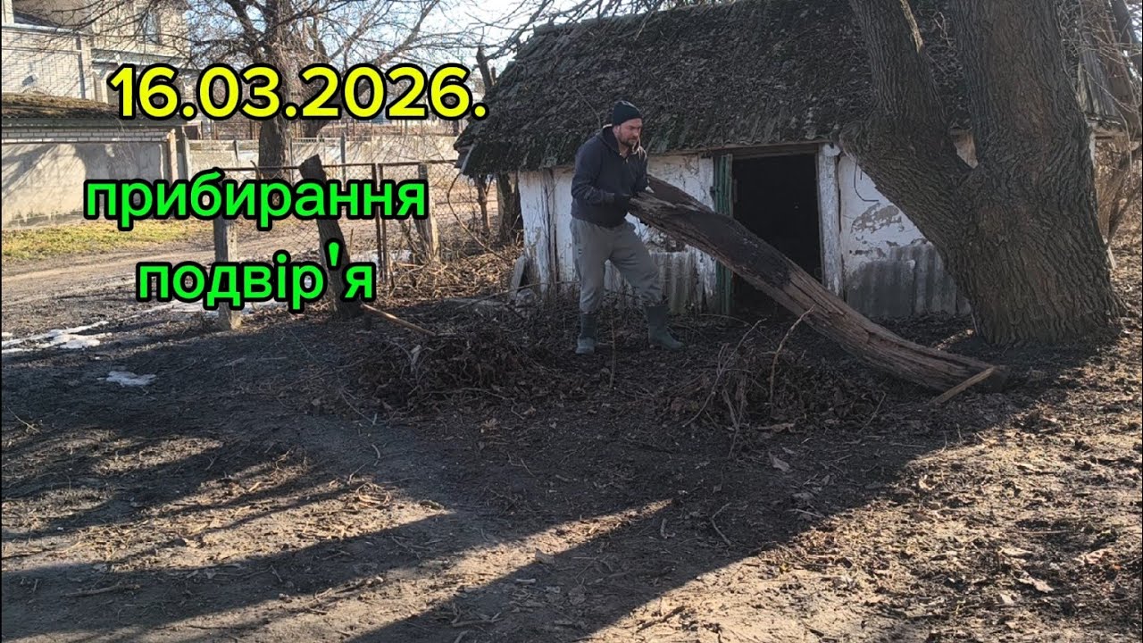Продовжую прибирати подвір'я 