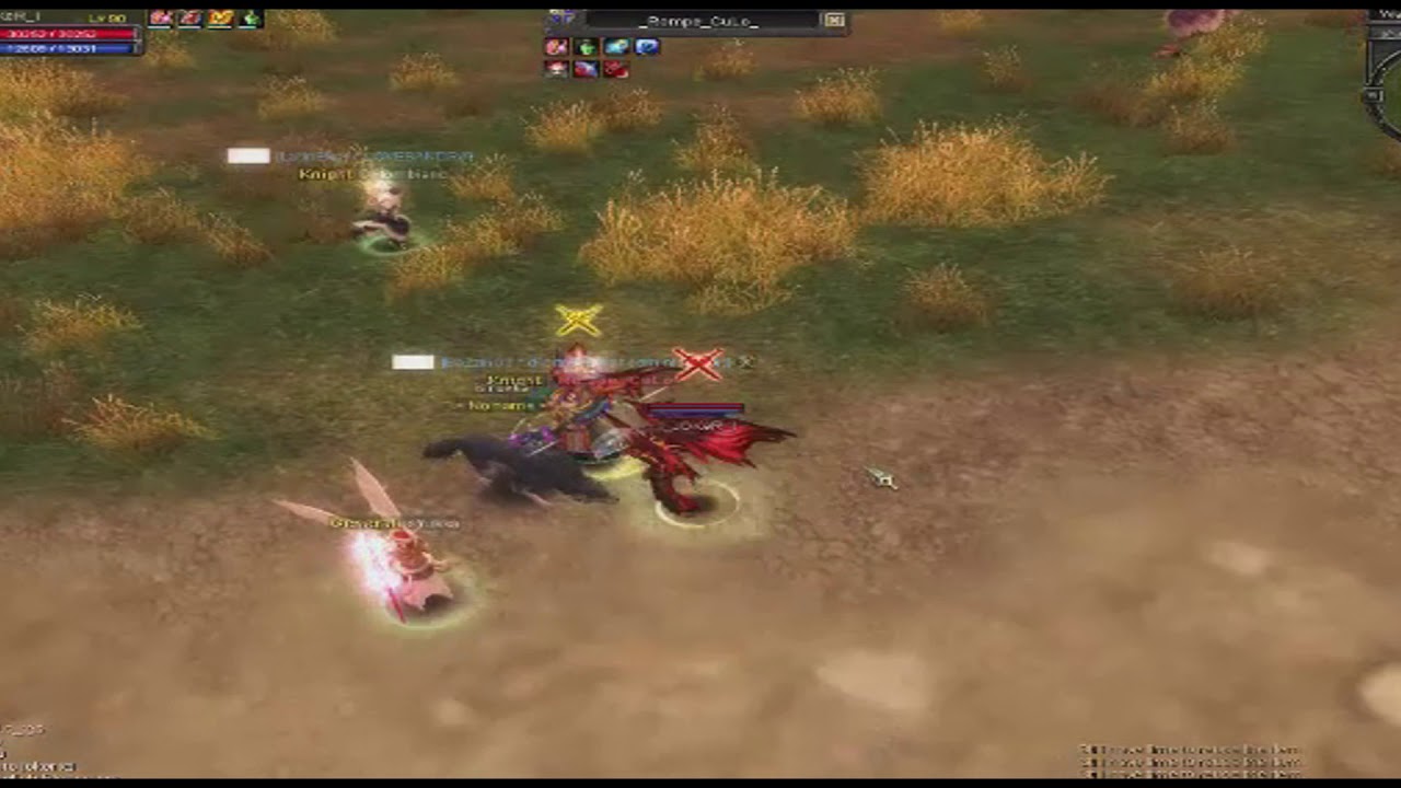 silkroad online warlock dagger 90 cap pvp