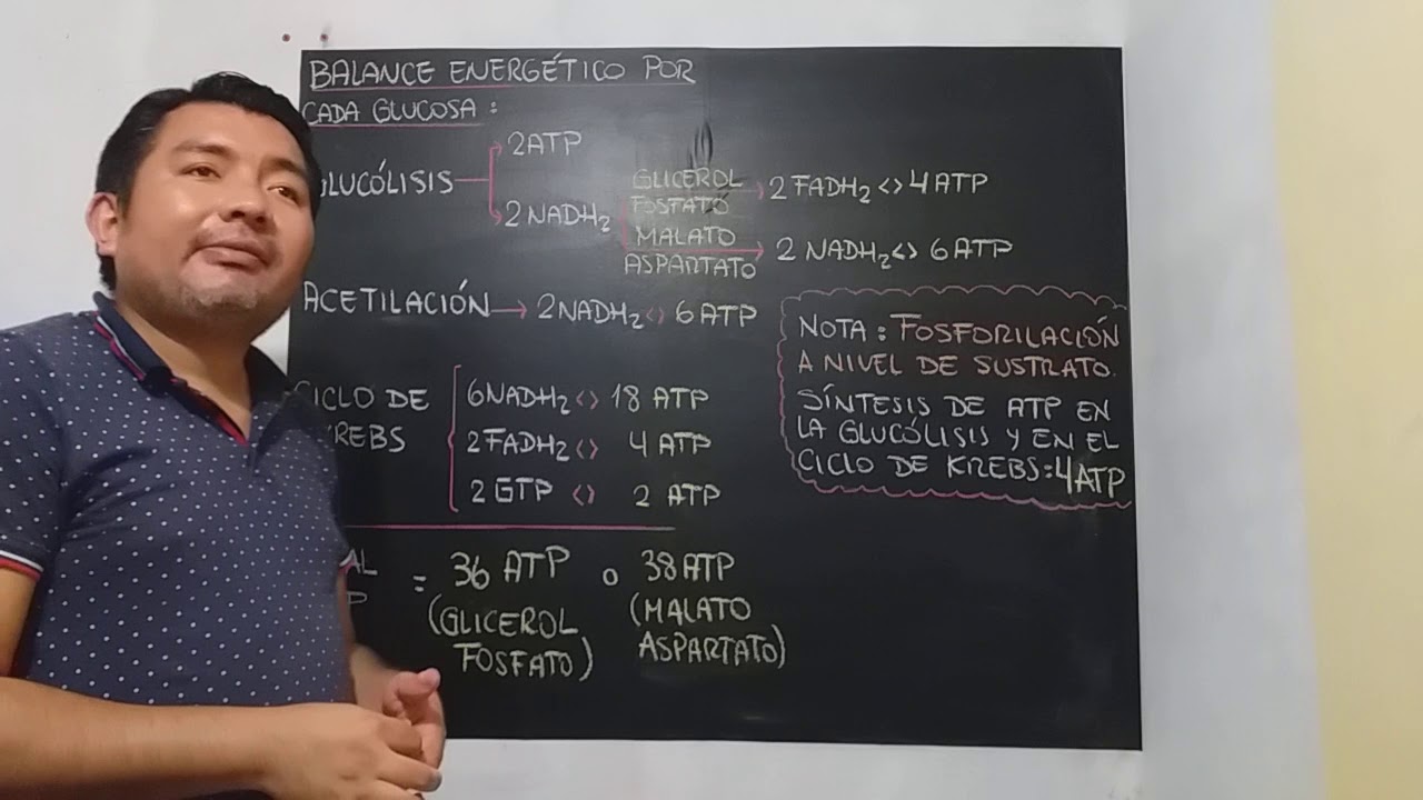 Respiración celular: Parte 7 - Balance energético y fosforilación a nivel de sustrato