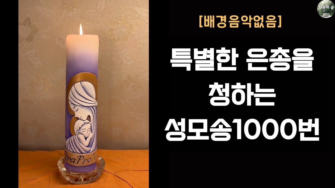 성모송1000번(배경음악없음/넘버링)ㅣ특별한 은총을 청하는 기도ㅣ치유 ㅣ마음의 평화ㅣ듣고따라하는기도ㅣ간절한 염원 #성모송천번 #의탁 #은총의기도 #불면증치유 #세레나의치유의숲