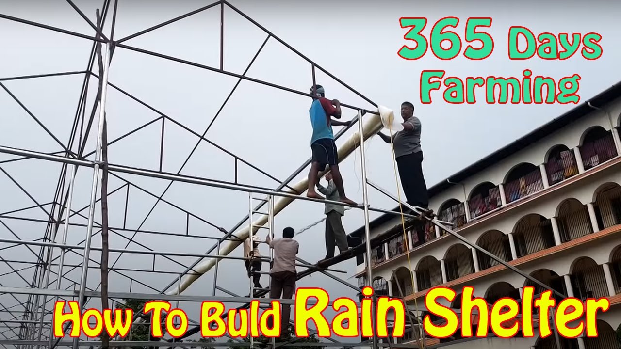 How to Build Rain Shelter | മഴ മറ  for agricultural | 365 Days Cultivations | Agriculture Technique