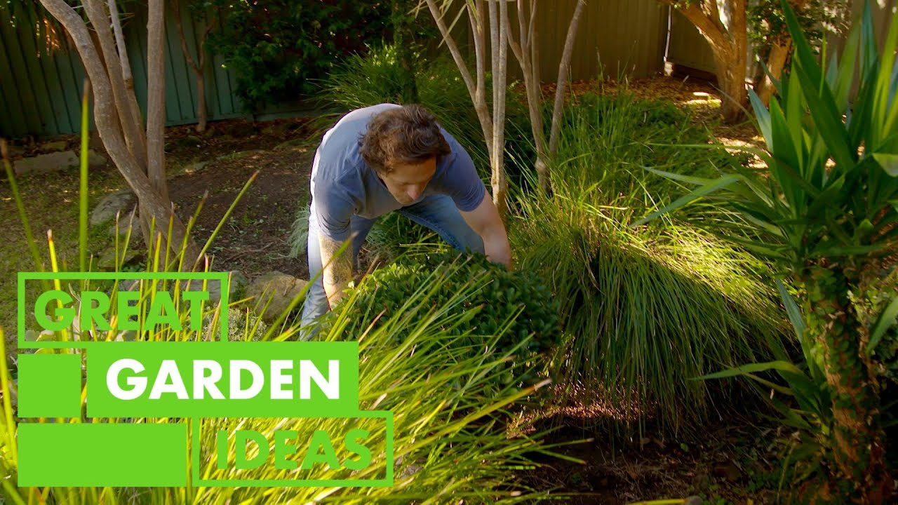 How to Give Your Garden a Modern Look Using Textural Plants | GARDEN | Great Home Ideas