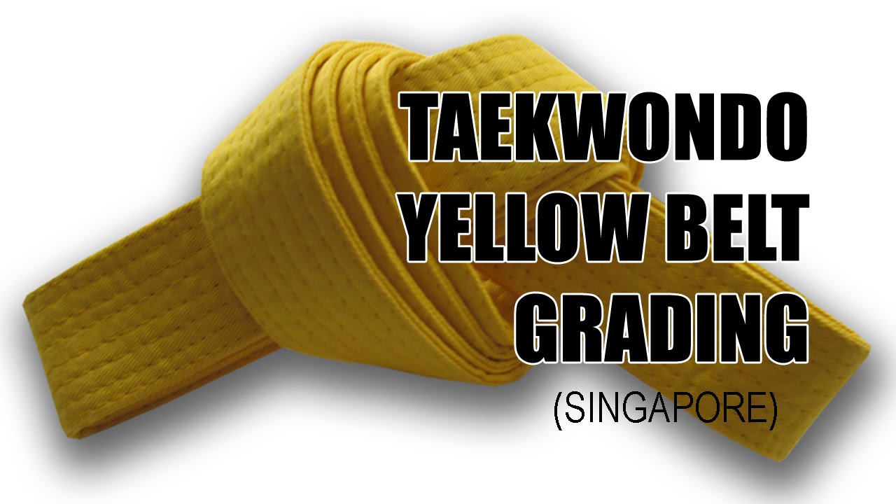 Singapore Taekwondo Yellow Belt Grading TKD