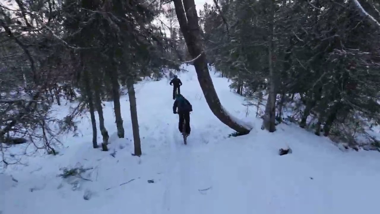 20260214 - Geitfjellet - Helkansetra