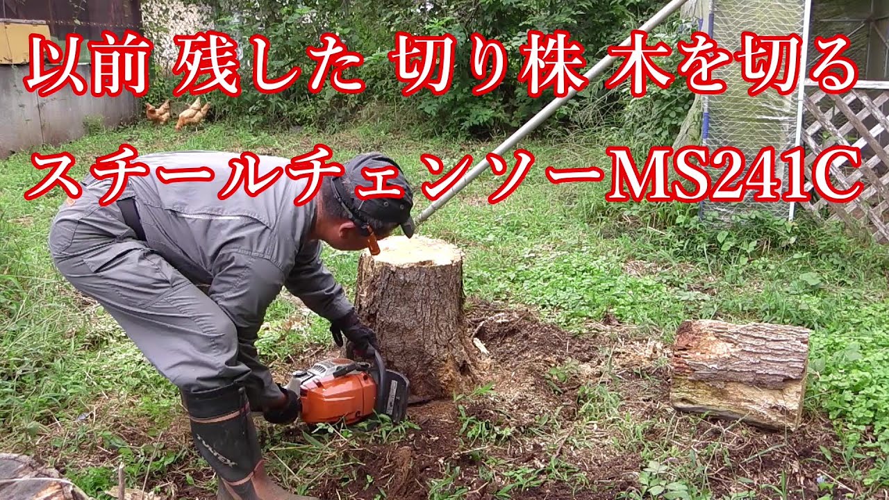 スチールチェンソーMS241C 木を切る