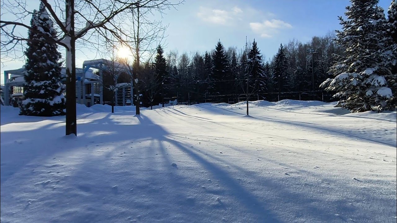Capture a Serene Winter Landscape with Sunlight Illuminating the Snow