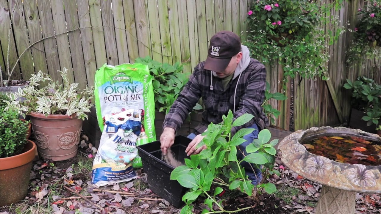 Fall Garden Clean Up