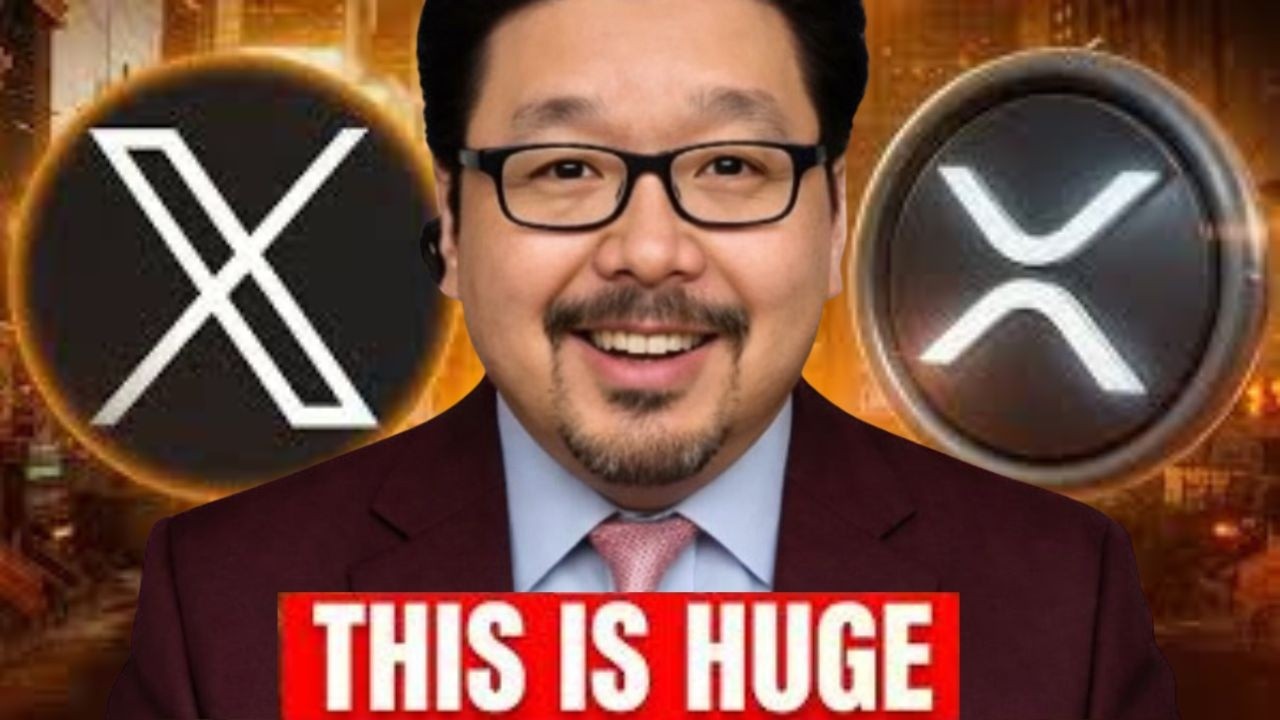 XRP YES!!! (Elon Musk JUST Dropped A BOMBSHELL For Crypto & XRP)