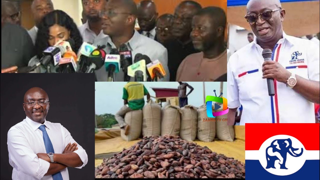 ASEM A BA: Npp Position On New Reduccing On Cocoa Price From GH 3,625 To 2,587 Per Bag