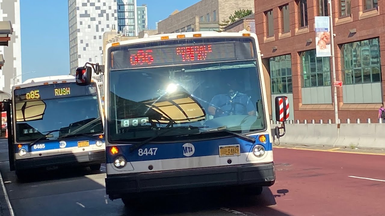 2016 NovaBus #8447 Q86 Rush full ride to Rosedale 149th Avenue via Merrick Blvd