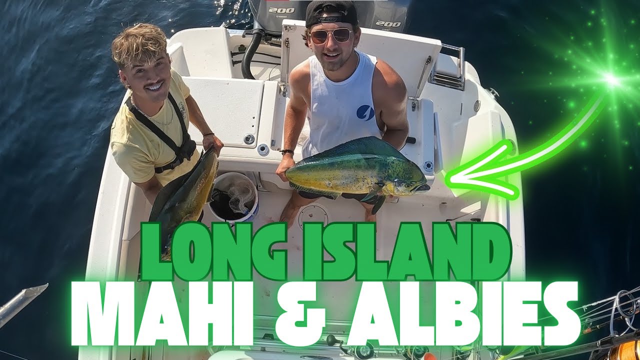 Mahi Mahi & Albies - Live Bait - Long Island, NY - Light Tackle