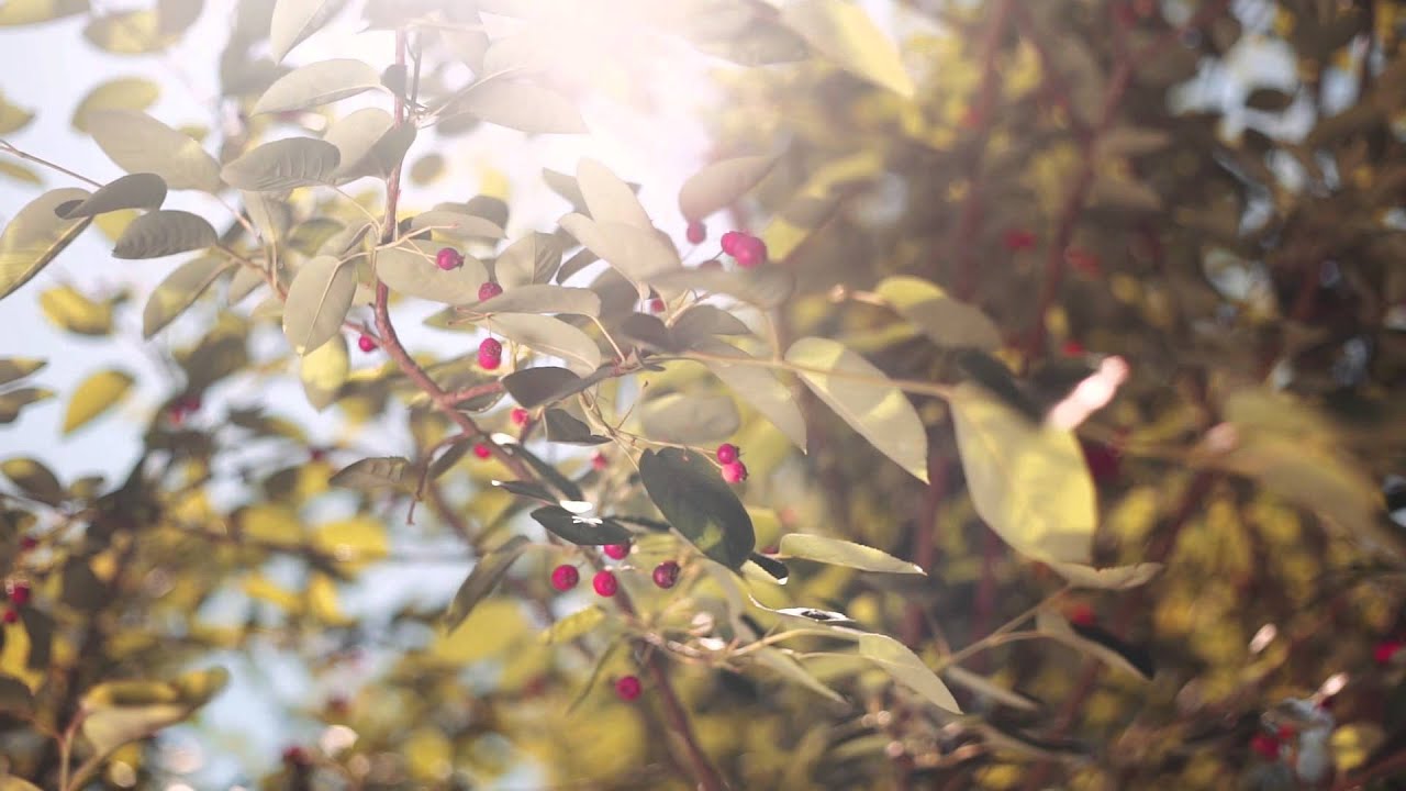 Casa da Ribeirinha - Turismo Rural