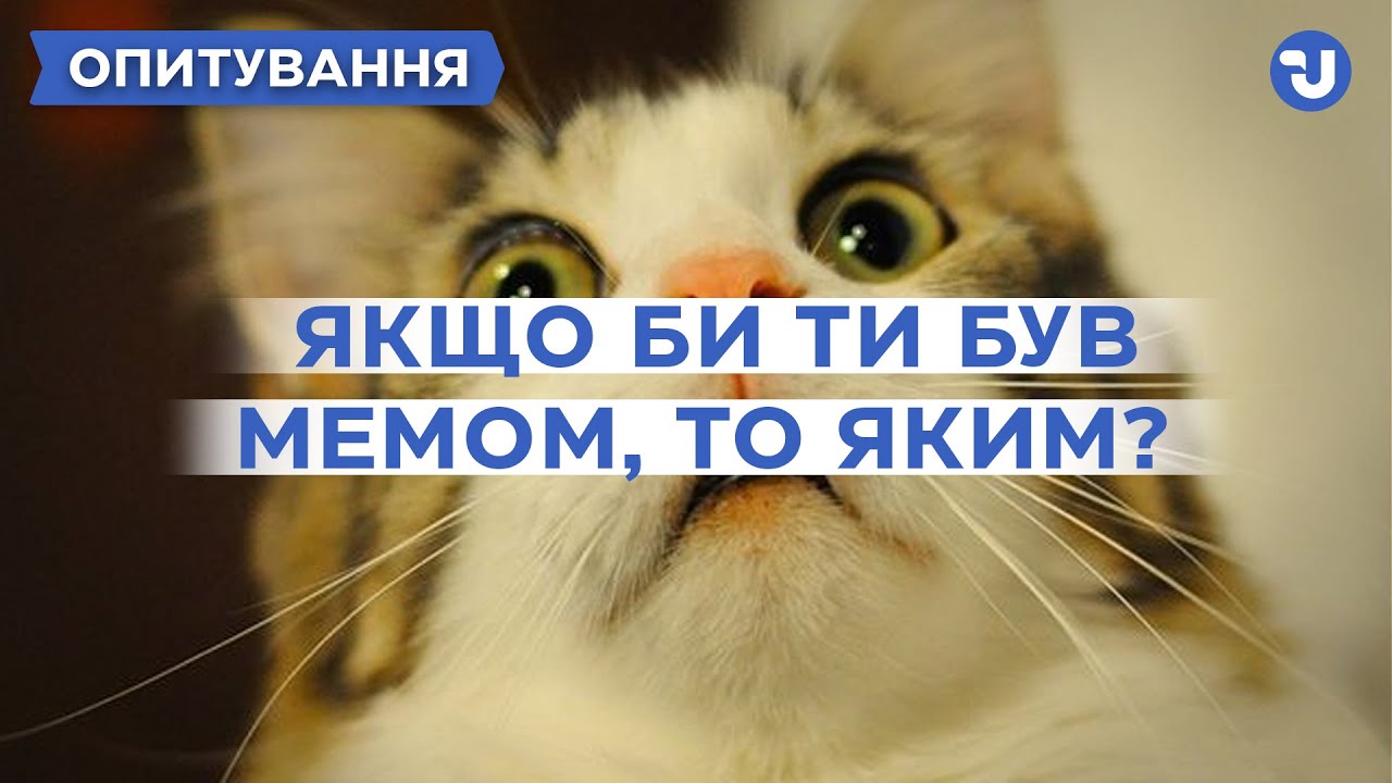 З якими мемами українці себе асоціюють – опитування