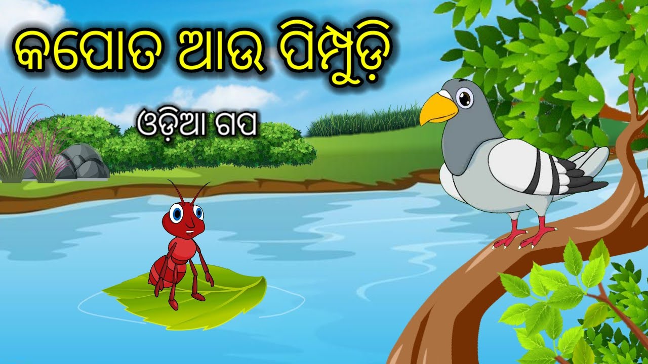 କପୋତ ଆଉ ପିମ୍ପୁଡ଼ି || Odia Gapa || Odia Story || Aaima kahani || Moral Story || Odia Cartoon