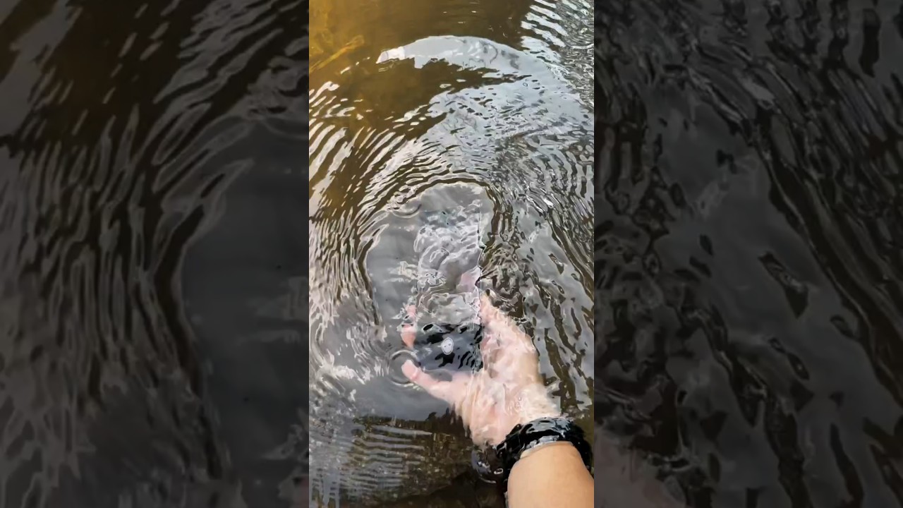 Oneplus 11 water test #watertest #camera_test #oneplus