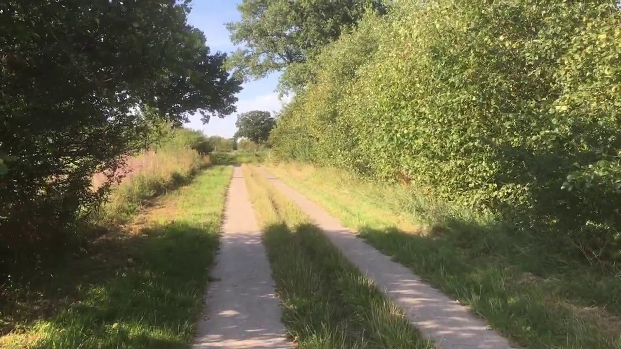 Daily Dogtalking - Ohne Leine haut mein Hund ab und jagt!