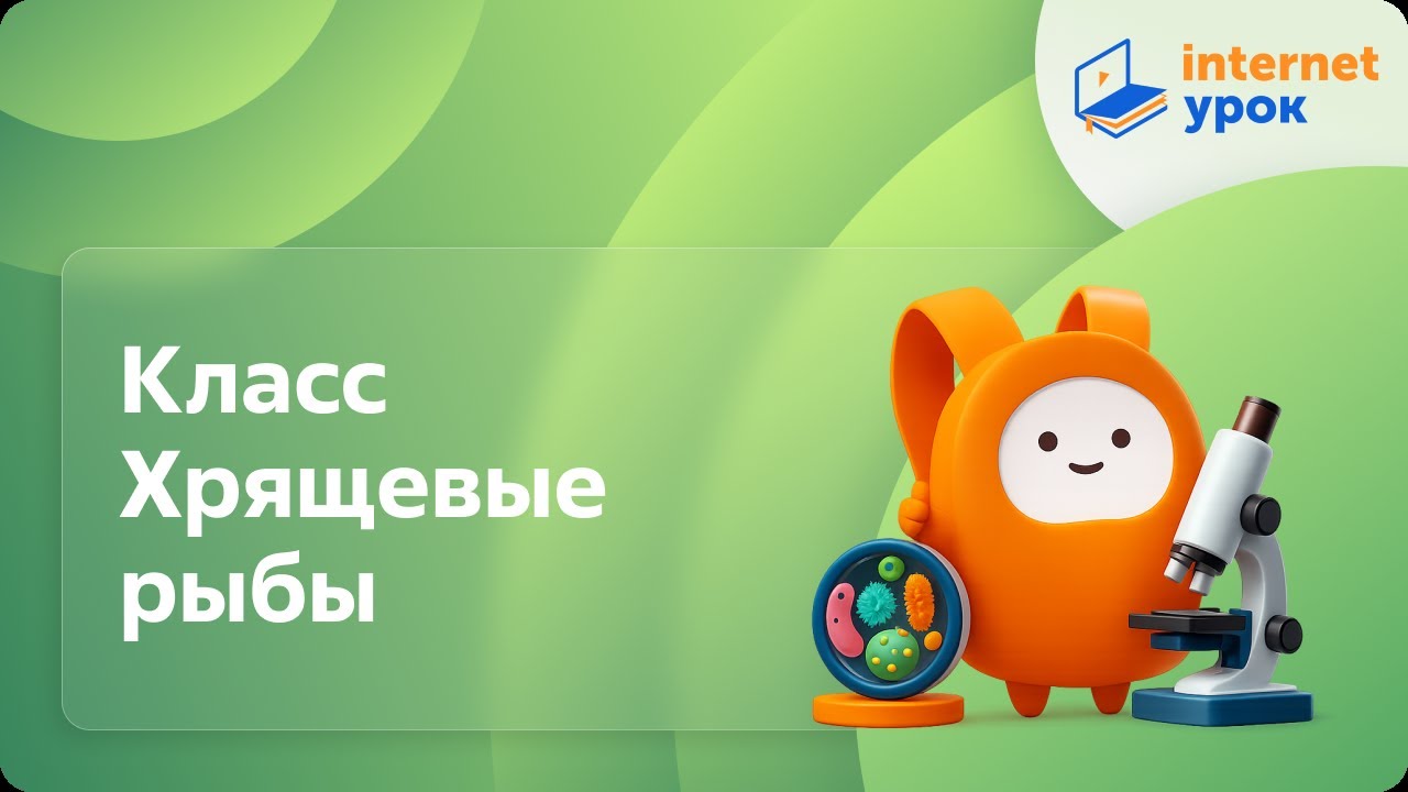 Биология 7 класс. Класс Хрящевые рыбы