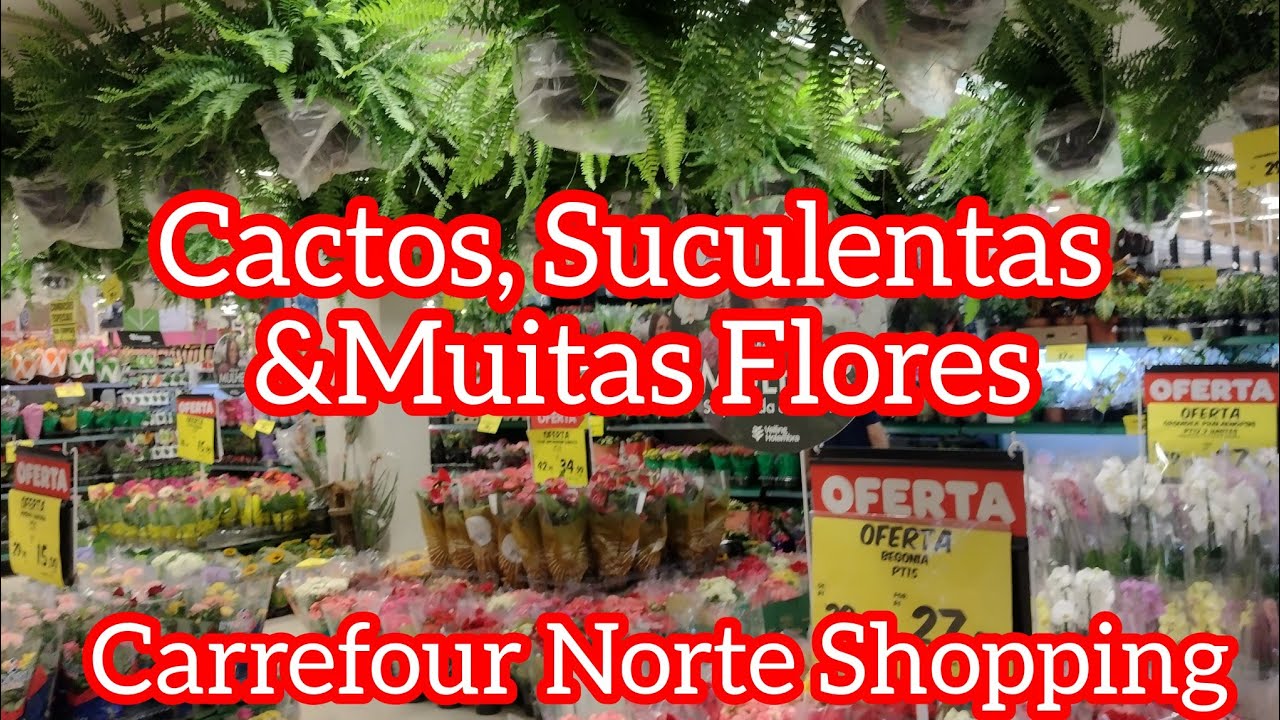 Muitas plantas lindas no Carrefour!#viral #cactus #suculentas #flores #mulher #casa #amigos ##sol 