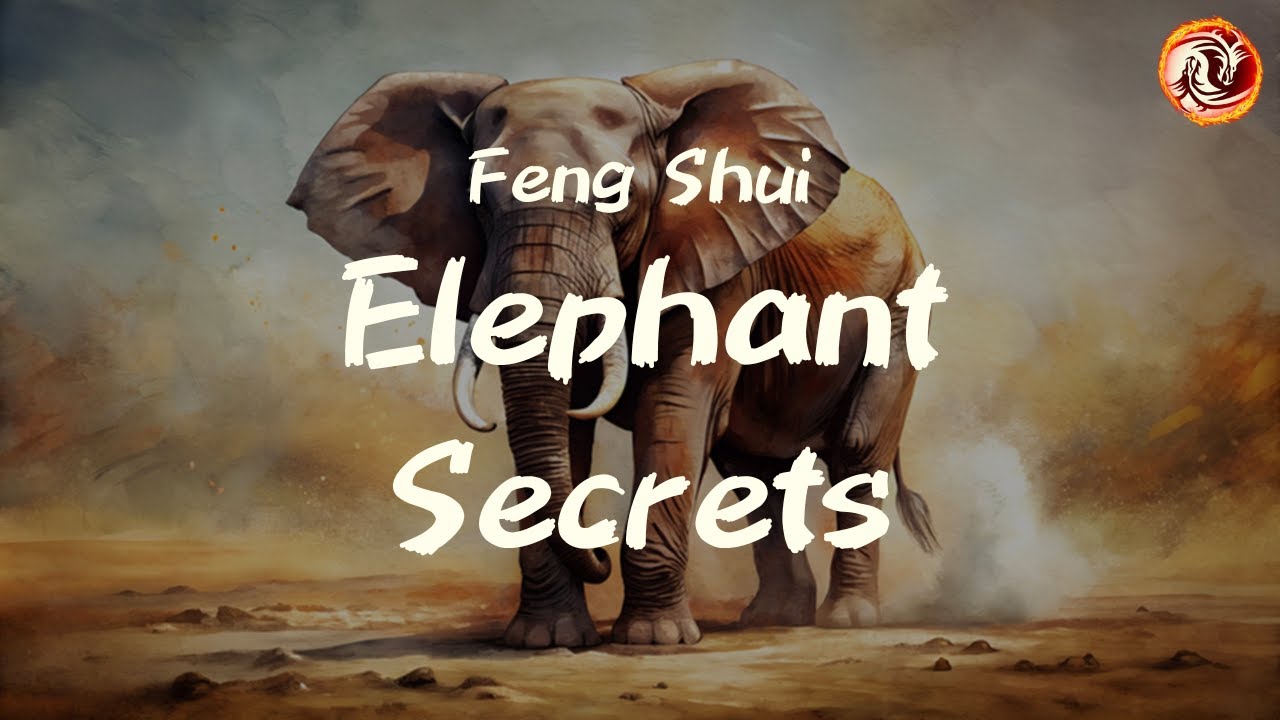Feng Shui Elephant Secrets: What They Really Mean and Where to Place Them