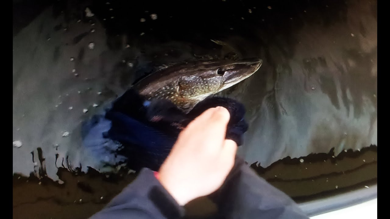 ABU Garcia - Svartzonker McPike