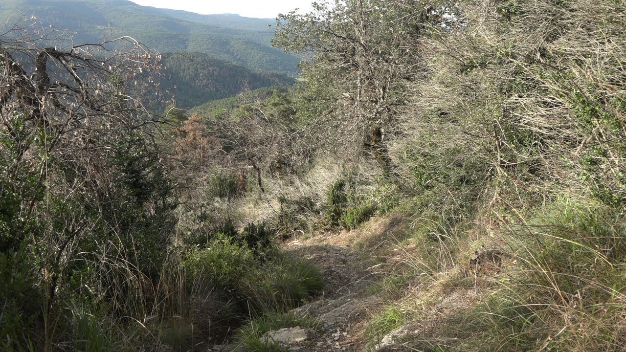 Radio Buen Camino part 131: from Lintzoain till Zabaldika