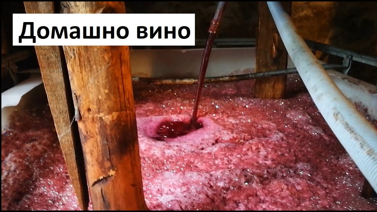 Как се прави домашно червено вино и Гроздобер