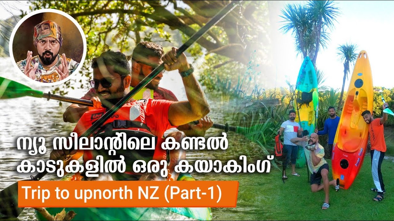Kayaking in NZ, Mangrove kayaking, bestNew Zealand travel vlog,easy laksa soup,new zealand tour