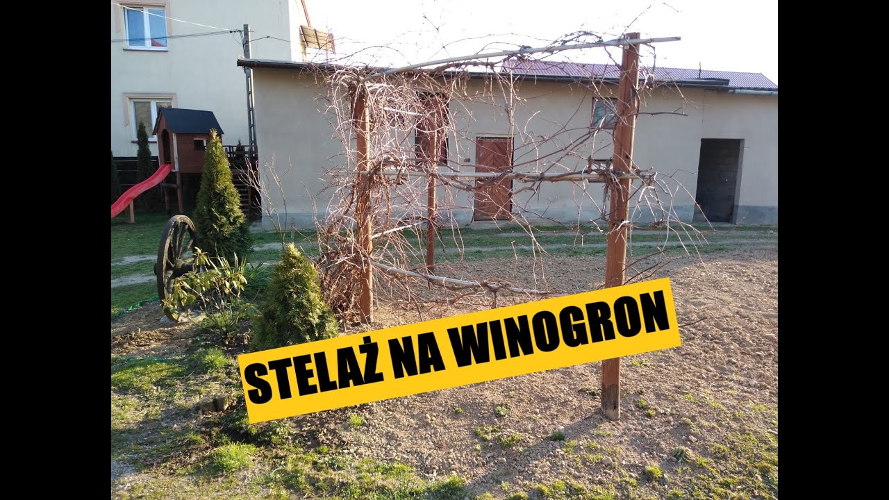 Stelaż na winogron -Budowa