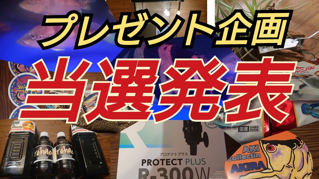 【プレゼント企画】抽選会・結果発表‼️