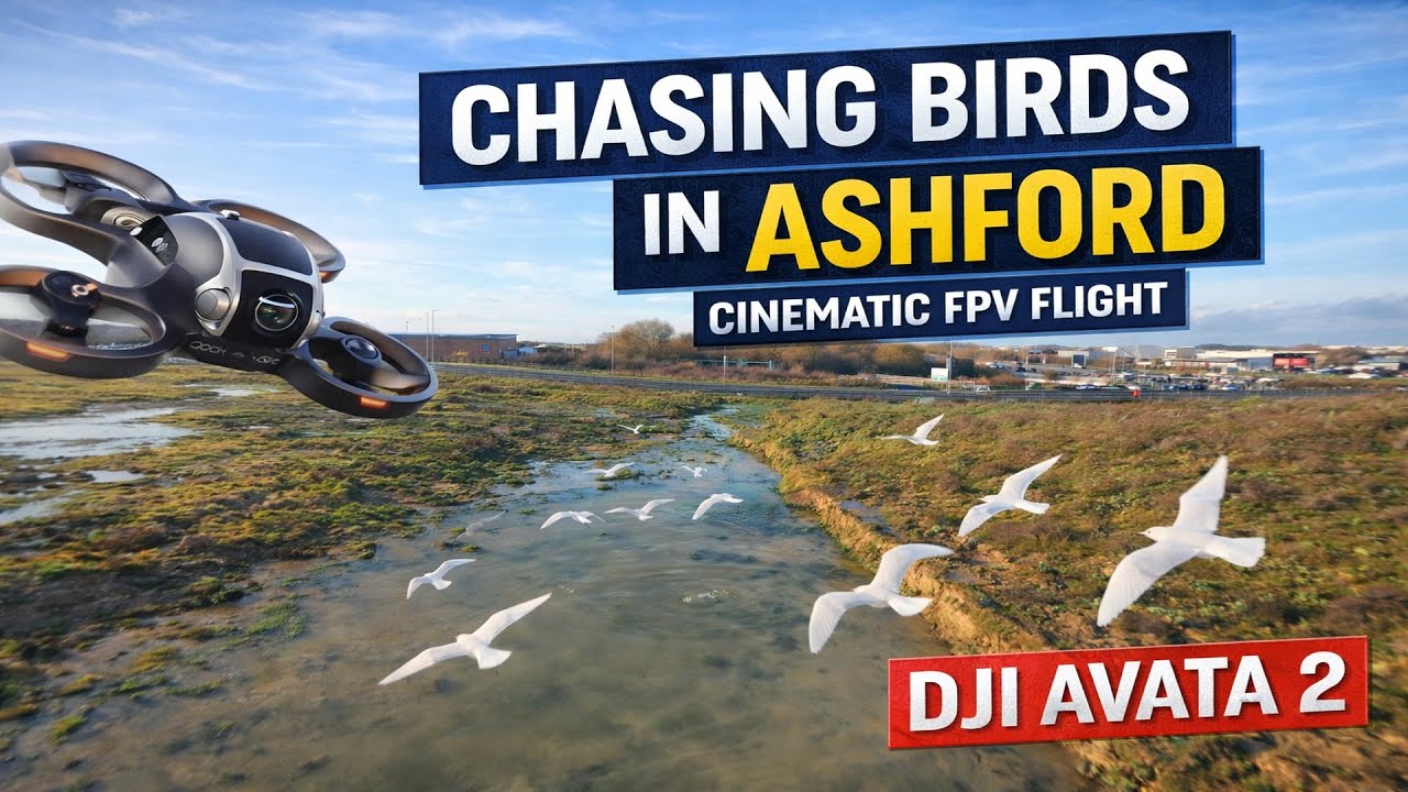 Chasing Birds in Ashford | Cinematic FPV Flight | DJI Avata 2