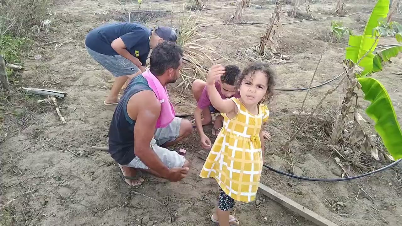 Fazendo a irrigação do sítio 