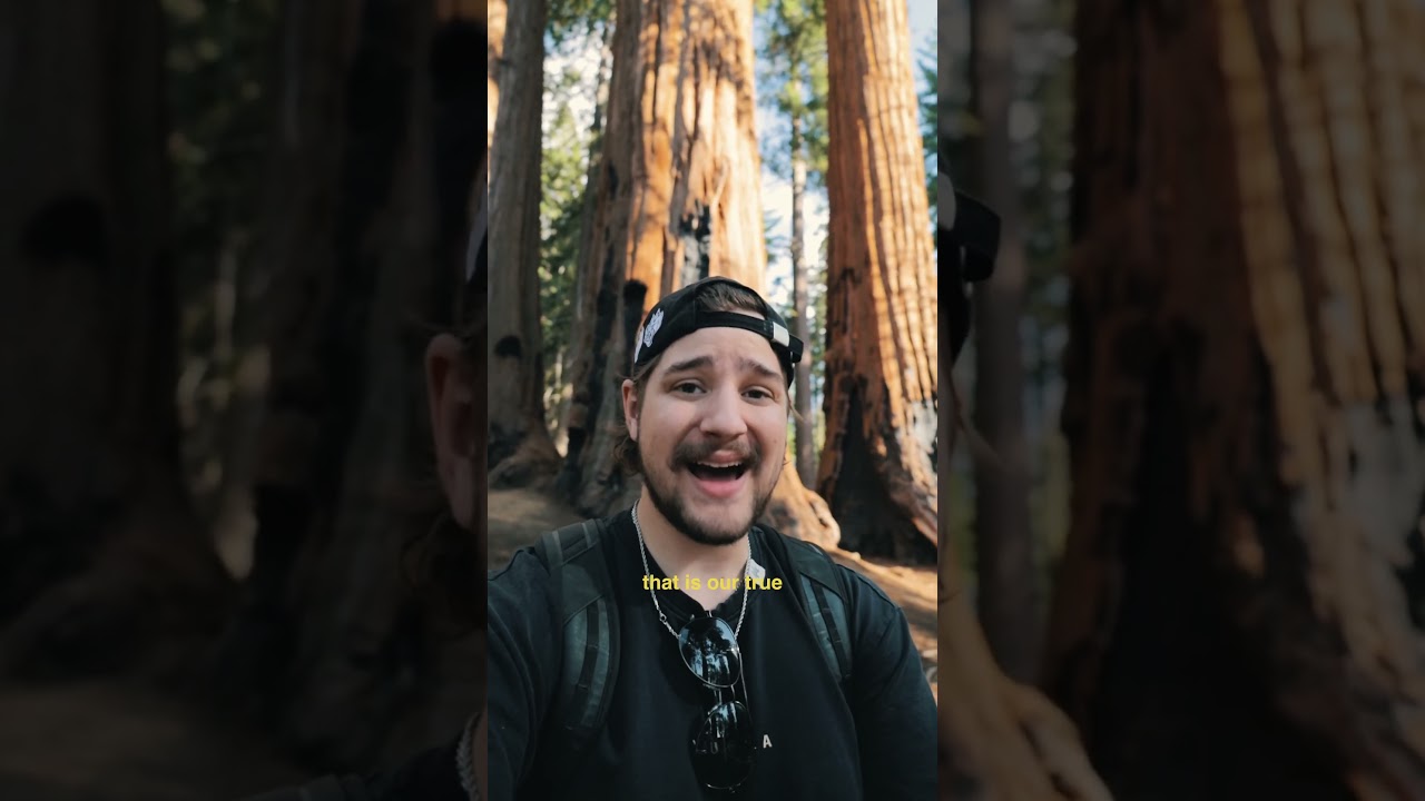 What God Really Wants from You #wholeheartedliving #Christianvlog
