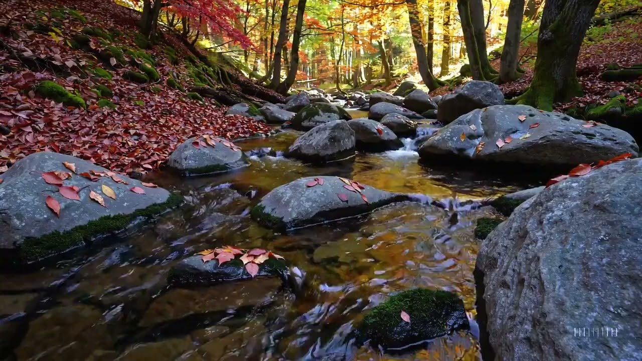 Relaxing Music to Calm Down Your Mind 🌸 Stress Relief Piano