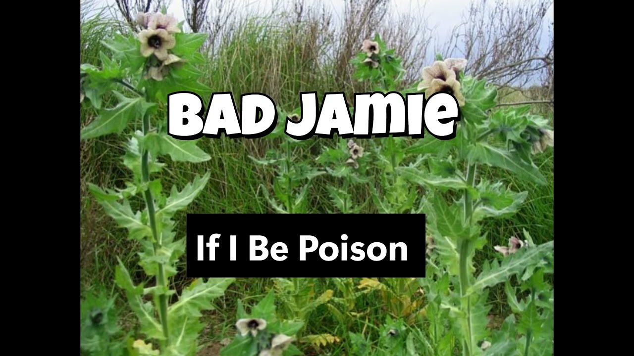 If I Am Poison, Who Planted Me? by Bad Jamie (Philosophical/Metaphorical Spoken Word)