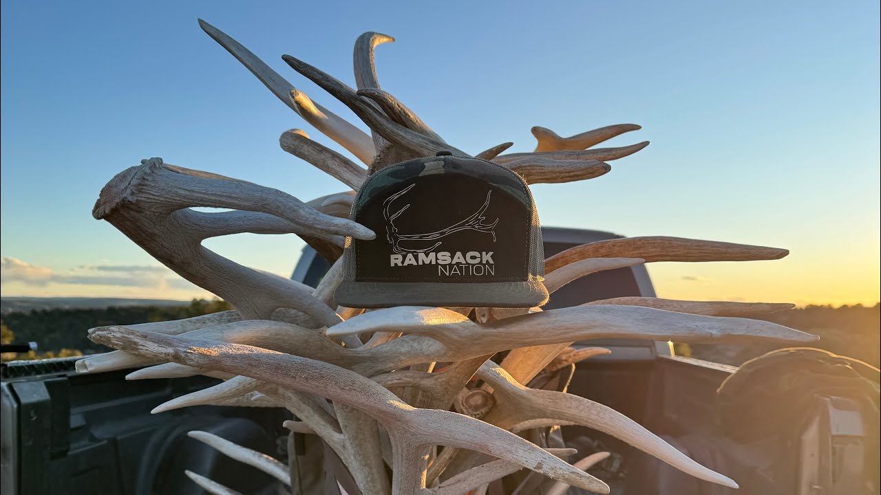 “Picking Pockets” Ep.6! My best day shed hunting ever! First brown set of 2026!