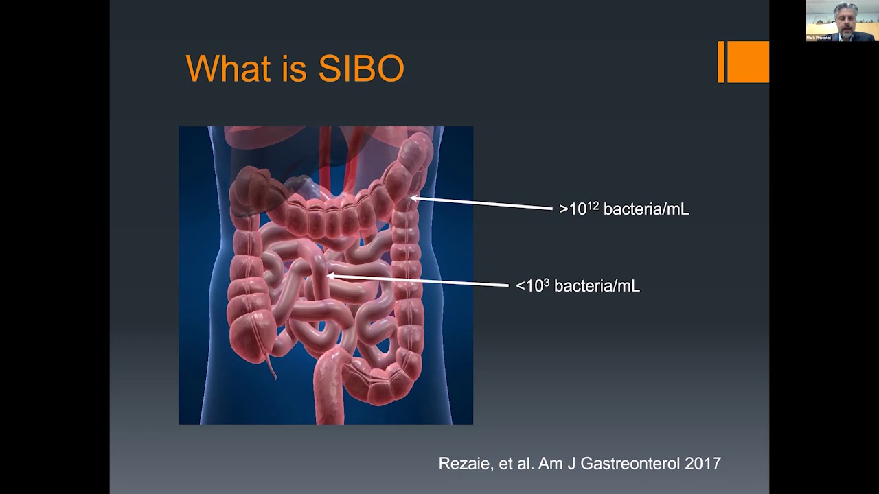 ibs-smart&trade; - The Blood Test for IBS with Dr Mark Pimentel