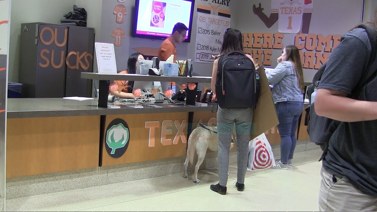 College Student + Guide/Service Dog Day in the Life