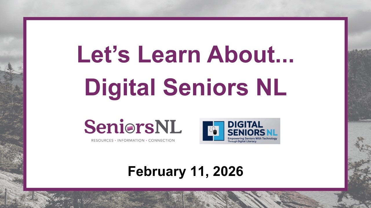 Let's Learn About... Closing the Digital Gap for Seniors: Insights from Digital Seniors NL
