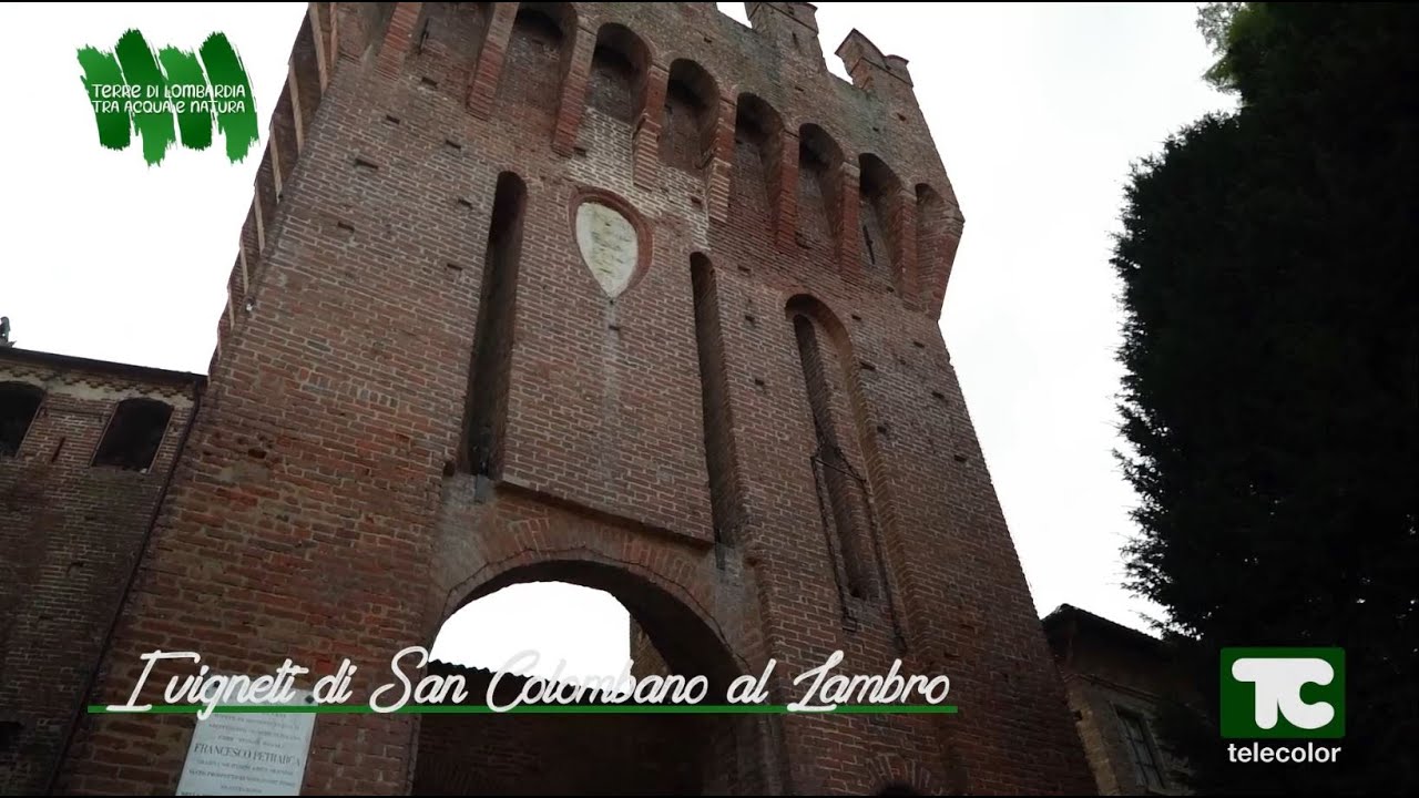 Terre di Lombardia: i vigneti di San Colombano al Lambro 05.11.2023