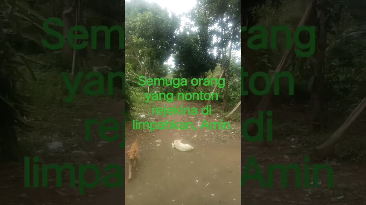#video