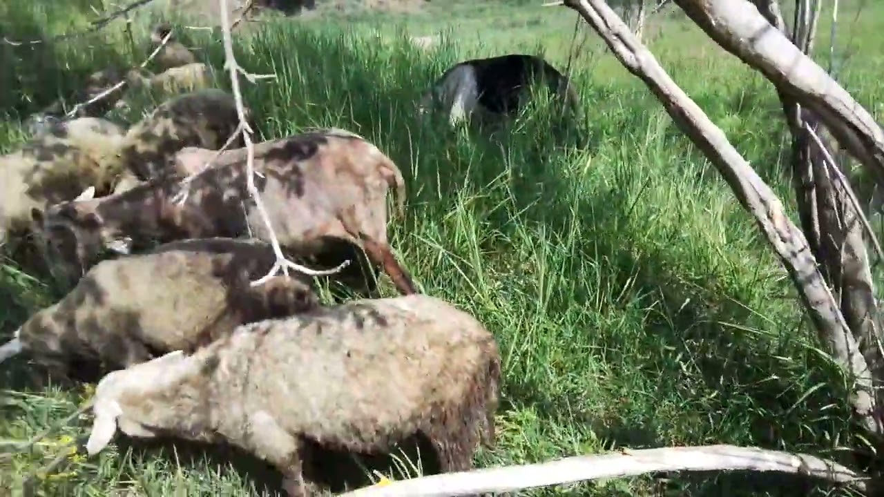 ДЕВОЧКИ БЫВАЮТ РАЗНЫЕ