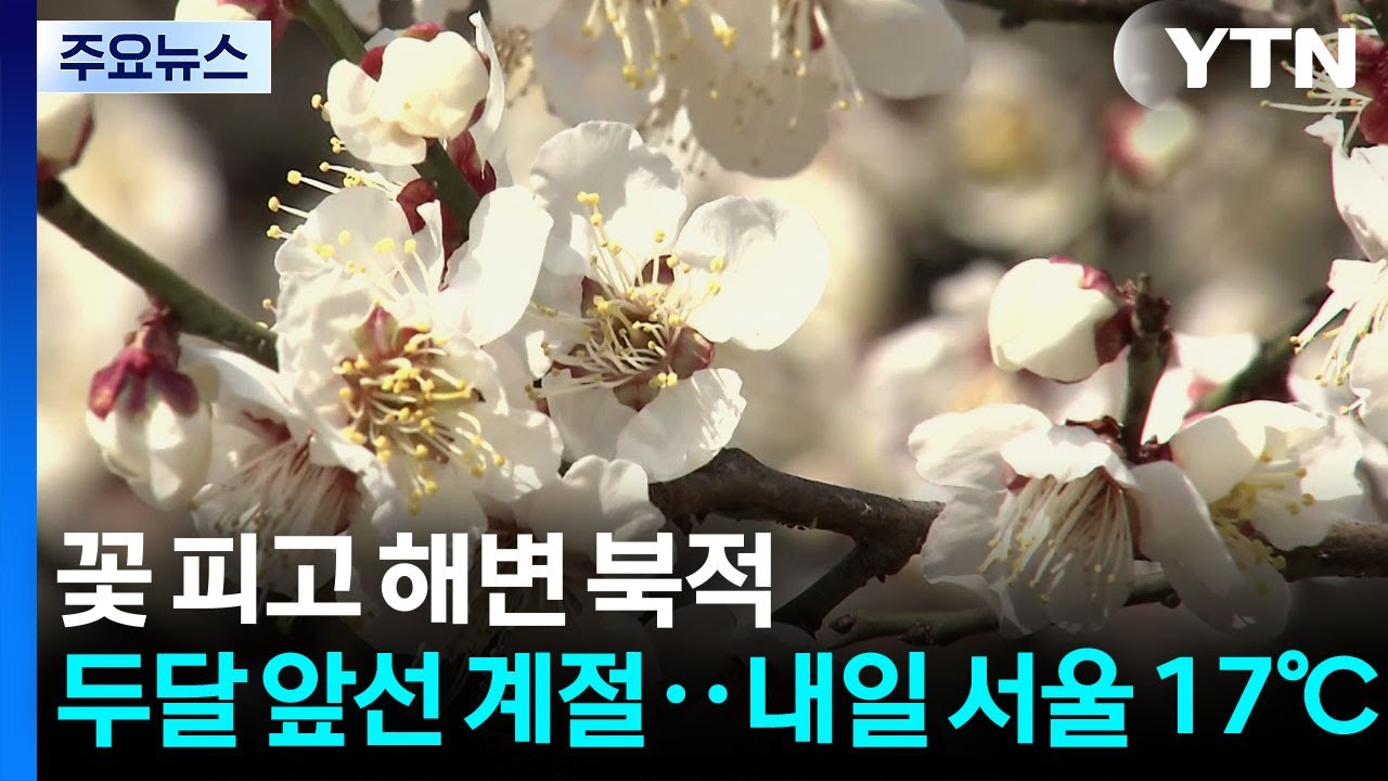 봄꽃 피고 해변도 북적...두달 앞선 계절 '내일 서울 17℃' / YTN